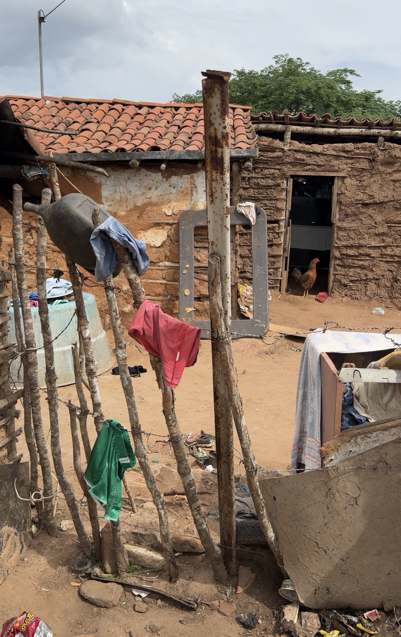 As crianças da família de Maria José